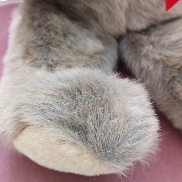 Petting Zoo Tan Bear - Picture 6 of 7